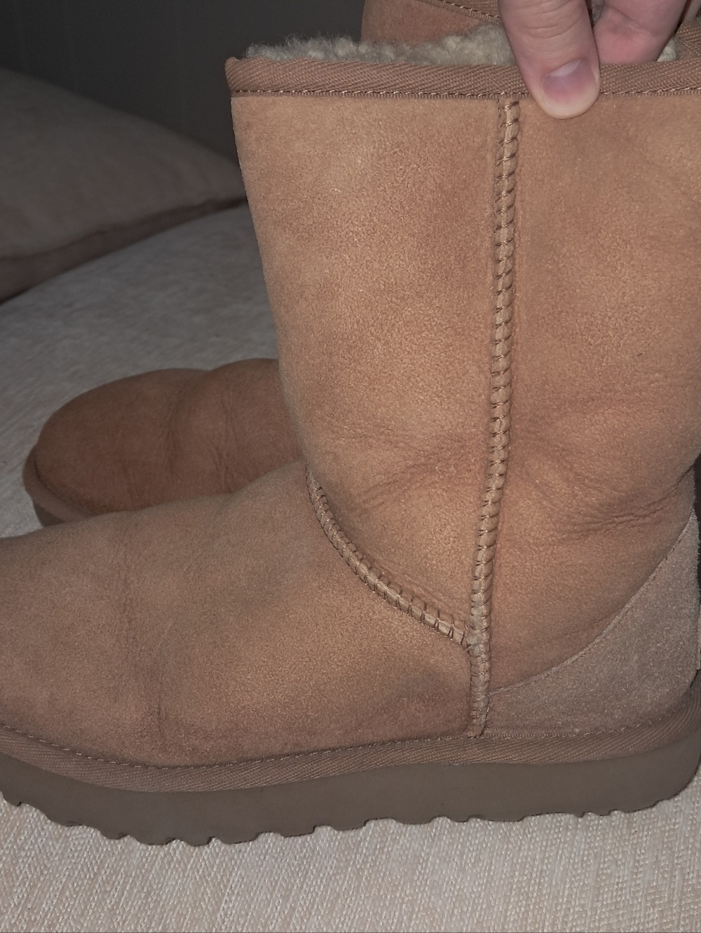 UGG Classic Short Boot in Chestnut Suede - Picture 12 of 13
